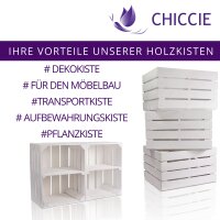 CHICCIE 3 Set Holzkiste im wei&szlig;en Vintage Look - 38x28x15cm Wei&szlig; - Obstkiste Weinkiste