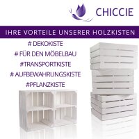 CHICCIE Holzkiste im wei&szlig;en Vintage Look - 50x40x30cm Wei&szlig; - Obstkiste Weinkiste