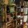 CHICCIE 3 Set Holzregal Schmalhanz 50x40x15cm - Geflammt 2x langes Regal